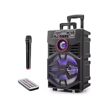 Kimiso QS1341 El Mikrofonlu 30 Cm 30W Mini Müzik