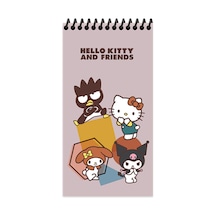 2 Adet Hello Kitty And Friends 10 19 80 Yp Çiz. Spr.karton Kapak Defter