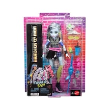 Monster High Frankie Stein Hpd53 Jhk31 Lisanslı Ürün