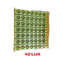 Kuluçka Makine Viyol 49 Luk Otomatik 1/240 Rpm Motorlu