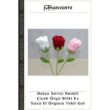 Çok Renkli