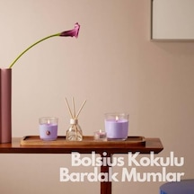 Bolsius Nar Kokulu Bardakta Mum - Vegan & Doğal & Saf Koku Özlü -palmiye Yağı İçermez - 25 Saat Yanma Süresi - Kırmızı Renkte - 80mm/73mm 50 x 22