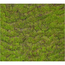 Yapay Yosun Duvar Dekoru Tabaka Kahve-yeşil 100x100 Cm Çok Renkli