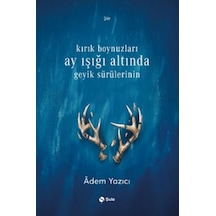 Kırık Boynuzları Ay Işığı Altında Geyik Sürülerinin - Rxlu-885895