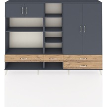 Antrasit - Antrasit - Çam