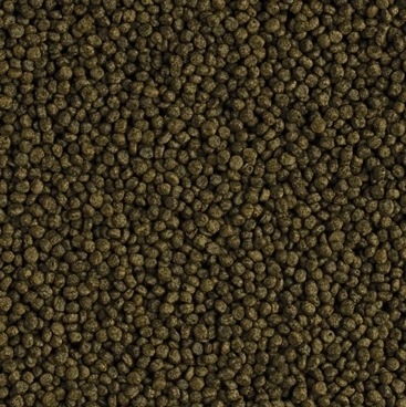Tropical Flower Horn Young Pellet 500 Gr Açık