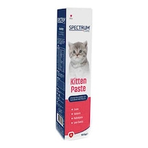 Northcity Kedi Multivitamin Malt Macunu 100 Gr - Anne Ve Yavru Kedi İçin Gelişmiş Bakım Takviyesi