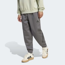 Adidas Z.n.e. Erkek Gri Eşofman Altı Kx7693