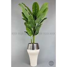 Yapay Starli Ce 230 Cm Bambu Gövdeli 22 Yapraklı Krem Gümüş Cleopatra Saksıda Krem Gumus