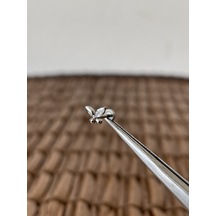 Gerçek Titanium G23 Kelebek Zirkon Titanyum 6x1.2mm Bedenilabret Piercing Gümüş