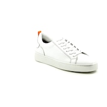 Dexter Dx279077-37 Çok Renkli