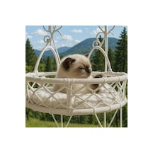 Teknor Cam Güzeli Kedi Köpek Yatağı
