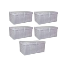Neptün Life 5 Adet - Kapaklı Çok Amaçlı Çamaşır-Saklama-Düzenleme Vb Hurç, Kutu 60X40X30 - Mega Kut