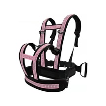 Sunskyy Motosiklet Düşme Önleyici Çocuk Kayışı Sürme Emniyet Kemeri Pembe