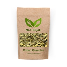 Naturşah Çoban Çökerten Tribulus Terrestris 100 G