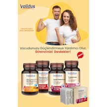 Longevity Vital Set - Curcumin - Black Cumin - Beta Glucan - Inula Helenium - Colostrum Longevity Vital Set - Curcumin - Black Cumin - Beta Glucan - Inula Helenium - Colostrum