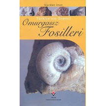 Türkiye'Nin Önemli Omurgasız Fosilleri