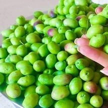 Yüksek Aromalı Susuzluğa Dayanıklı Sofralık Yağlık İri Melkabazi Zeytin Fidanı 10-20 Cm
