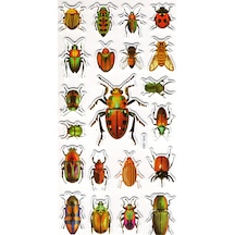 Sticker Kabartmalı Stiker Çıkartma Etiket Xhc083 -18x9 Cm- Böcek Türleri Çok Renkli