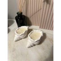 Bernami Mum Pinterest 2 Li Beton İstiridye Mum Diğer
