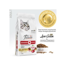 Northcity Hypoallergenic Kuzulu Düşük Tahıllı Yetişkin Kedi Maması 12 Kg