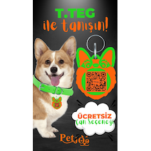 Petjoo 15.T.Teg Turuncu-Yeşil Qr'lı Köpek Künyesi