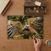 Kanatlarını Açan Atmaca Kuşu Tasarımı 240 Parça Ahşap Puzzle Ahşap Kutuda Mpy40451