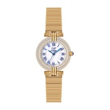 Gianfranco Ferre Gfss8070lz Kadın Kol Saati