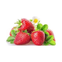 10 Adet Tohum Çilek Tohumu İthal Çilek Tohumu + Tohum N112736