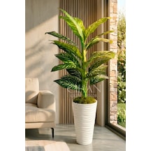 Yapay Difenbahya Ağacı - 57x30 Dekoratif Kumsal Saksılı 160 Cm Beyaz