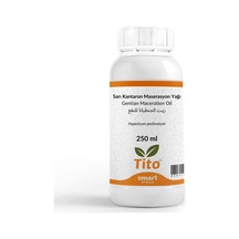 Sarı Kantaron Maserasyon Yağı Hypericum Perforatum 250 Ml