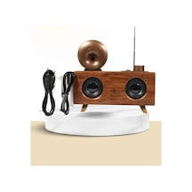Astraltech Nostaljik Ahşap Radyo Bluetooth Ve Sd Kart Destekli