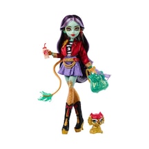 Monster High Ana Karakter Bebekler Jınafıre Long Hyv58