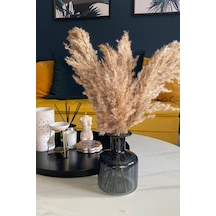 Dekoratif 7'li Natural Pampas 100cm Boyunda Doğal
