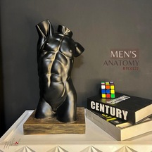 Erkek Anatomisi Büst, Yunan Sanatı, Kas Heykeli, Vücut Geliştirm