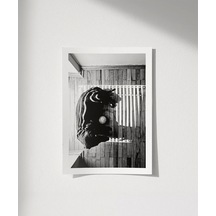 Çerçevesiz Poster Gölge Oyunları