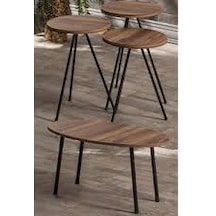 Zigon Sehpa Ve Orta Sehpa Set Metal Elips Ceviz Çok Renkli