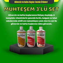 Royal Güvercin Ve Kafes Kuşları İçin 1 Lt Muhteşem Üçlü Set Pigeotonic+pigeorex+acidoral