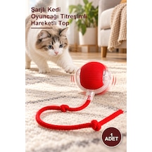 1 Adet Şarjlı Kedi Oyuncağı Titreşimli Hareketli Top