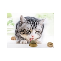 Kedi Otu Oyun Topu Cat Mint 0.05 M