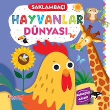Saklambaç Hayvanlar Dünyası - Ayho-772460