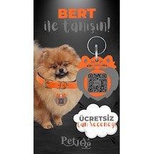 Petjoo 13.Bert Gri-Turuncu Qr'lı Köpek Künyesi