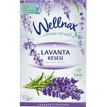Wellnax Dolap ve Çekmece Kokusu Lavanta Kesesi 5 x 21 G