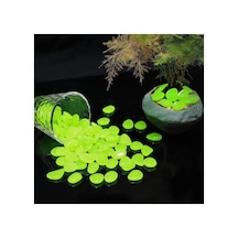 Fosforlu Çakıl Taşı Bahçeniz Için Karanlıkta Parlayan Fosforlu Çakıl Taşları 50 Adet 1-2 Cm Beyaz - 570410855 Tek Ebat