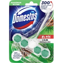 Domestos Çam Ferahlığı Wc Blok 50 G