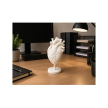 Detaylı İnsan Kalbi Anatomik Modeli - 3d Baskı Öğretim Ve Sunum Materyali