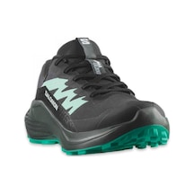 Salomon 478023 Alphaglide Gtx W Patika Koşusu Kadın Spor Ayakkabı Siyah