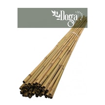 30 Adet Bambu Bitki Fidan Destek Çubuğu 1,5 Metre