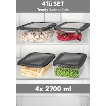 4'lü Trendy Buzdolabı Düzenleyici - Mikrodalga Ve Difrize Uygun Organizer Saklama Difriz Kabı 2700ml Gri