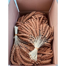 Murtcu Kızıl Dal Darı Protein Deposu Organik Kuş Yemi 1 Kg